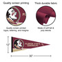 Florida State University Pennant