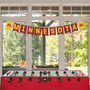 Minnesota Gophers Banner String Pennant Flags