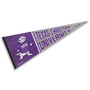 Texas Christian Horned Frogs Throwback Retro Vintage Pennant Flag