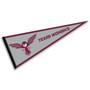 Texas Womans Pioneers Pennant