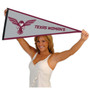 Texas Womans Pioneers Pennant