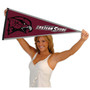 Maryland Eastern Shore Hawks Pennant