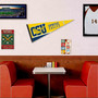 Coppin State Eagles Banner Pennant with Tack Wall Pads