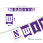 Northwestern Wildcats Banner String Pennant Flags