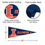 Illinois Fighting Illini Logo Pennant