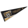 Oakland Golden Grizzlies Pennant