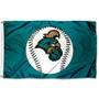 Coastal Carolina University Baseball Flag