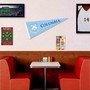 Columbia Lions Banner Pennant with Tack Wall Pads