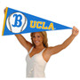 Bruins Baseball Pennant