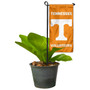 Tennessee Volunteers Flower Pot Topper Flag