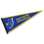 Southern Arkansas Muleriders Pennant