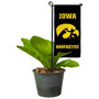 Iowa Hawkeyes Flower Pot Topper Flag