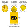University of Iowa Garden Flag