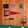 St. Cloud State University Pennant