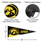 University of Iowa Pennant