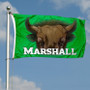 Marshall Thundering Herd Eye Flag