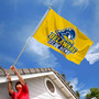 Delaware Blue Hens Gold Flag