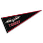Translyvania Pioneers Pennant