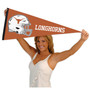 University of Texas Helmet Pennant