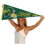 North Dakota State Bison Helmet Pennant