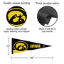 University of Iowa Banner Pennant with Tack Wall Pads