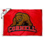 Cornell Big Red Boat and Mini Flag