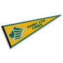 Saint Leo Lions Pennant