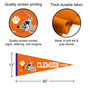 Clemson Tigers Helmet Pennant
