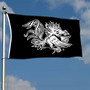 South Carolina Gamecocks Black Flag