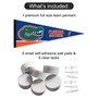 University of Florida Banner Pennant with Tack Wall Pads