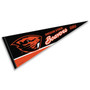 Oregon State University Pennant