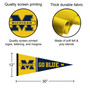 Michigan Team University Wolverines Go Blue Pennant with Tack Wall Pads