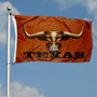 Texas Longhorn Bevo Eye Flag