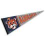 Auburn Tigers Throwback Retro Vintage Pennant Flag