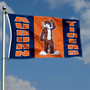 Auburn University Aubie Flag