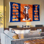 Auburn University Aubie Flag