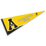 Appalachian State University Pennant