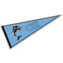 Staten Island Dolphins Pennant