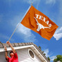 University of Texas Arched Flag