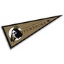 University of North Carolina at Pembroke Braves Pennant