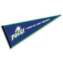 Florida Gulf Coast Eagles Pennant