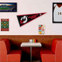 Minnesota State Moorehead Dragons Pennant