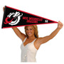 Minnesota State Moorehead Dragons Pennant