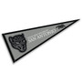 Texas A&M San Antonio Jaguars Pennant