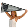 Texas A&M San Antonio Jaguars Pennant