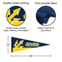 San Diego Tritons Banner Pennant with Tack Wall Pads