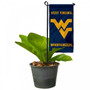 West Virginia Flower Pot Topper Flag