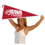 West Alabama Tigers Pennant