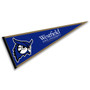 Westfield State Owls Pennant