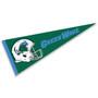 Tulane University Helmet Pennant